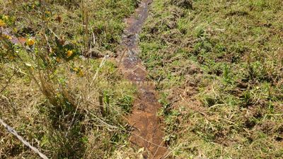 Terreno, 2 hectares - Foto 2