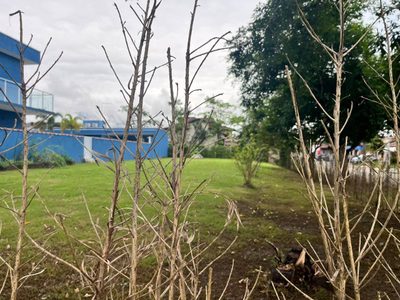 Terreno, 571 m² - Foto 5
