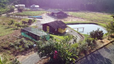 Sítio, 2 quartos, 4 hectares - Foto 3