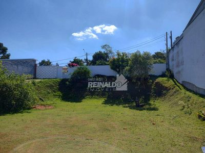 Chácara, 3 quartos, 1000 m² - Foto 3
