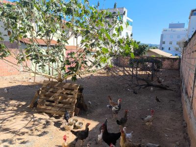 Terreno, 360 m² - Foto 2