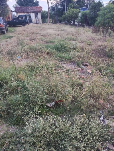 Terreno, 250 m² - Foto 2