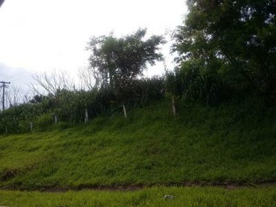 Terreno, 15 hectares - Foto 4