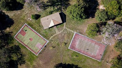 Terreno, 5005 m² - Foto 3