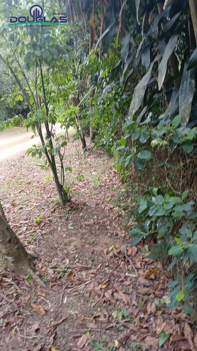 Terreno, 600 m² - Foto 3