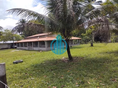 Fazenda, 50 hectares - Foto 1