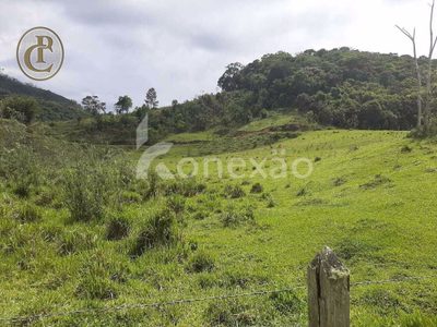 Fazenda, 300 m² - Foto 3