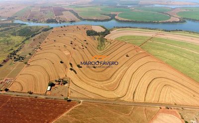 Fazenda, 153 hectares - Foto 4