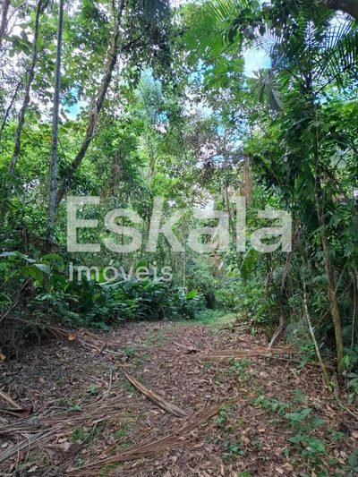 Terreno, 5 hectares - Foto 2