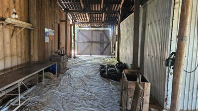 Sítio, 3 quartos, 250 m² - Foto 4