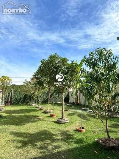 Casa, 5 quartos, 255 m² - Foto 4