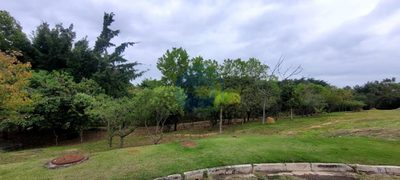 Terreno, 324 m² - Foto 5