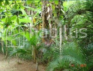 Terreno, 6500 m² - Foto 2