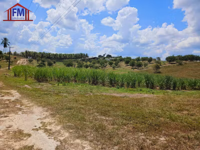 Sítio - Foto 1