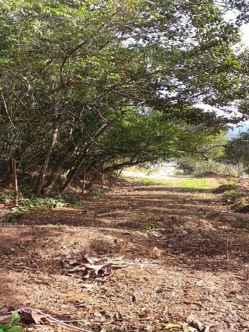 Chácara, 1 quarto, 7646 m² - Foto 1