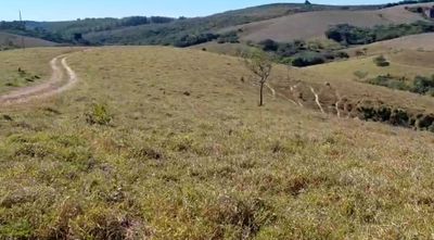 Fazenda, 200 hectares - Foto 2