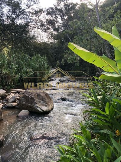 Terreno, 2 hectares - Foto 4