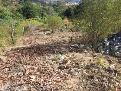 Terreno, 567 m² - Foto 4