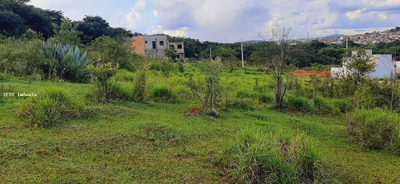 Terreno, 2670 m² - Foto 2