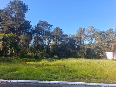Terreno, 2440 m² - Foto 3