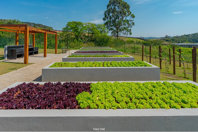 Terreno - Foto 5