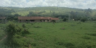 Chácara, 1 quarto, 277 hectares - Foto 4