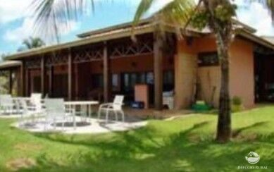 Fazenda, 11829 hectares - Foto 2