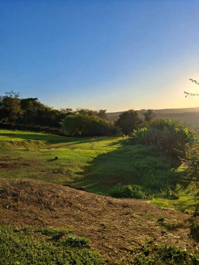 Terreno, 1500 m² - Foto 4