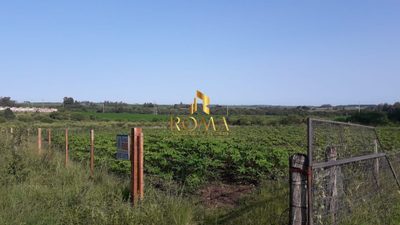 Terreno, 7 m² - Foto 1