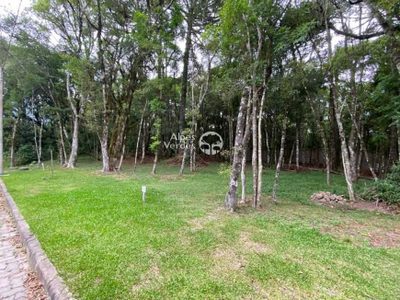 Terreno, 338 m² - Foto 4