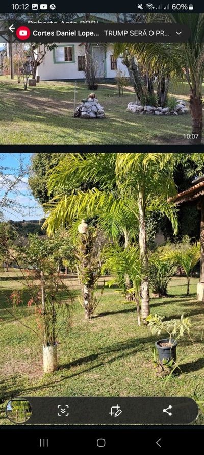 Fazenda, 5000 m² - Foto 4