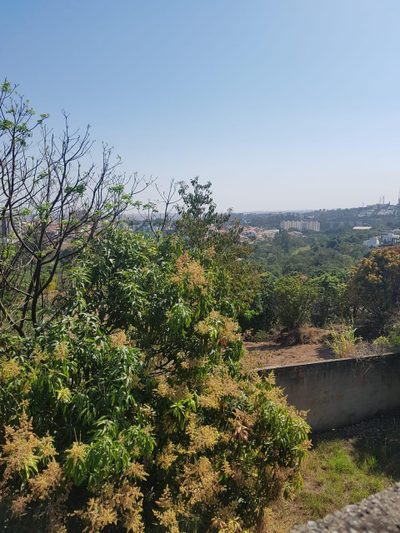 Terreno, 1650 m² - Foto 3