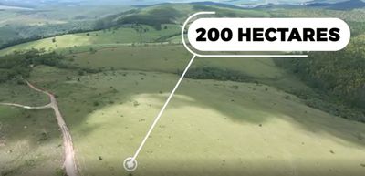 Fazenda, 206 hectares - Foto 2