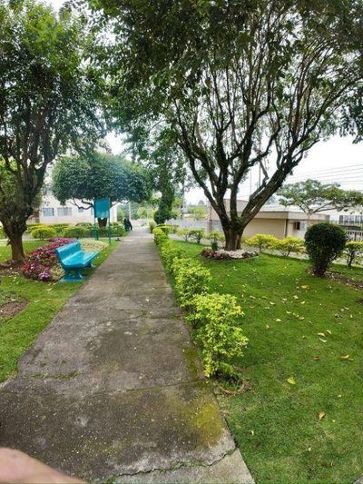 Apartamento, 2 quartos - Foto 4