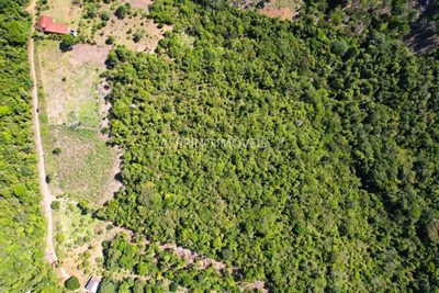 Terreno, 9 hectares - Foto 3