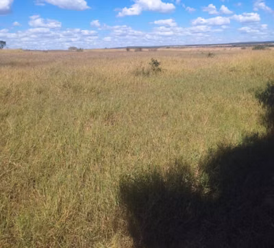 Chácara, 1 quarto, 654 hectares - Foto 4