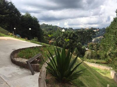 Casa, 3 quartos, 434 m² - Foto 4