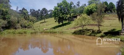 Chácara, 4 quartos, 1 hectares - Foto 3