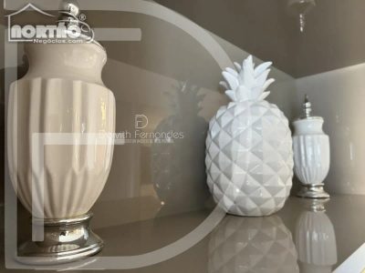 Casa, 4 quartos, 350 m² - Foto 5