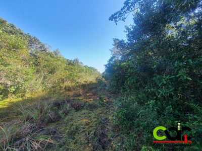 Terreno, 250 m² - Foto 3