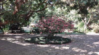 Terreno, 7 hectares - Foto 4
