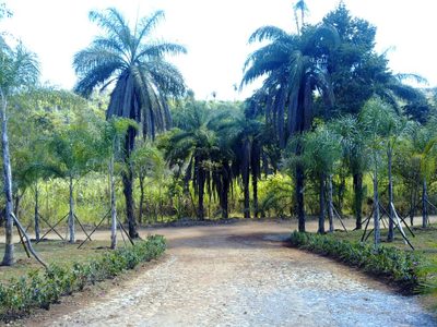 Chácara, 1 quarto, 2 hectares - Foto 2