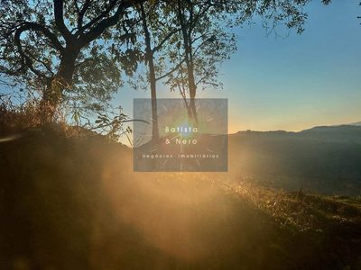 Terreno, 1475 m² - Foto 3