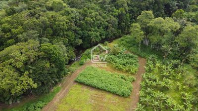 Chácara, 1 quarto, 2 hectares - Foto 2