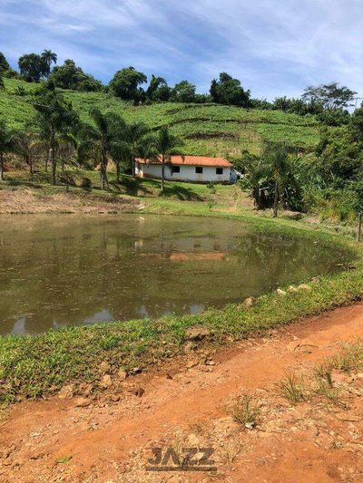Sítio, 3 quartos, 7 hectares - Foto 2