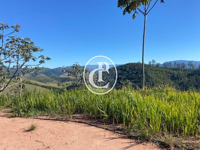 Terreno, 3 hectares - Foto 1