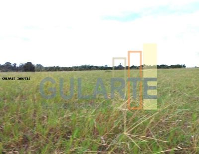 Fazenda, 442 hectares - Foto 3