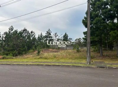 Terreno, 1002 m² - Foto 3