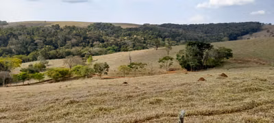 Fazenda, 10000 m² - Foto 1
