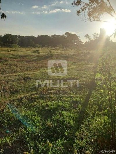 Chácara, 1 quarto - Foto 2